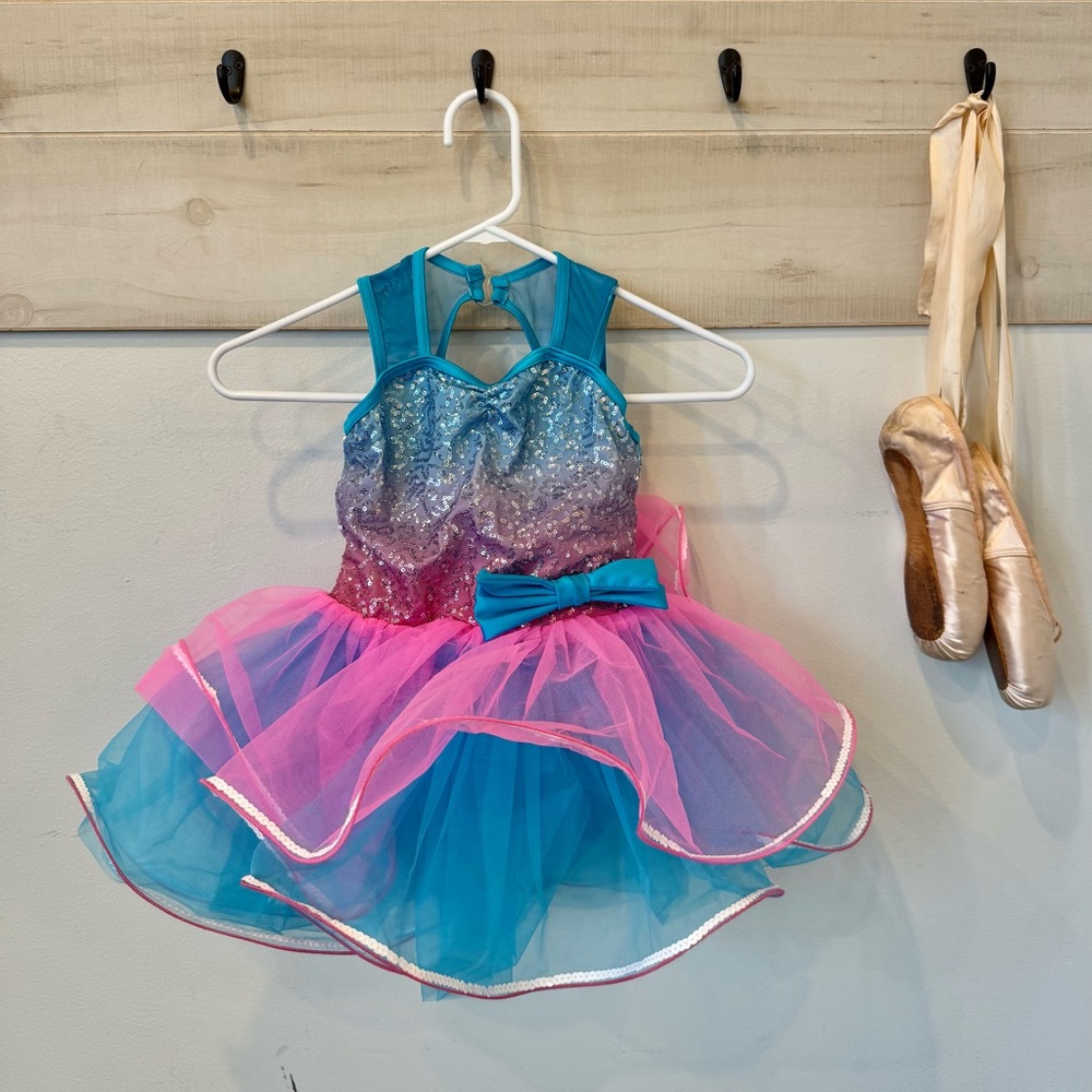 Weissman Tap Dancing Song costume tutu, pink blue, SC - Picture 8 of 8